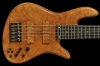 e5d_madroneburl_front