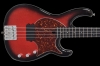 FunkUnl4_RedFlakeBurst_TortoiseShellPG_FrontClose