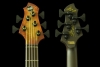 535CottonwoodBurl_Peghead