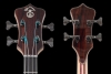 MK4D_CocoBolo_PegBack