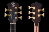 MK5D_CocoBolo_Peghead
