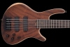 Roscoe_CentStandardPlus_CocoBolo_Front