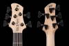 Roscoe_CentStandardPlus_CocoBolo_Peghead