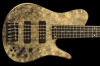 I5E_BuckeyeBurl_Front