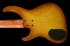 Genesis5_Honeyburst_Back