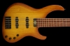 Genesis5_Honeyburst_Front