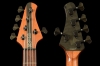Genesis5_Honeyburst_Peghead