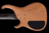 Q5_MineralStain_Aguilar_Back