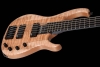 Q5_MineralStain_Aguilar_FrontAngle