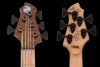 535_QuiltSapele_Peghead