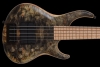 MTD_Super5_BuckeyeBurl_Front