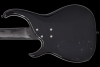 Q5_Blackstone_Back