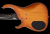 Q5_HoneyBurst_Back