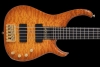 Q5_HoneyBurst_Front
