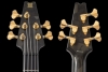 Q5_HoneyBurst_Headstock