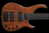 Q5FiguredKoa_Front