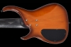 Q6_Vintageburst_Back.jpg