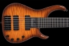 Q6_Vintageburst_FrontClose.jpg