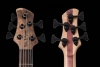 Custom5_SKB_Walnut_Oil_Peghead