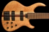 TobiasBasic5_Front